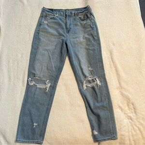 American Eagle Outfitters Distressed Mom Jean